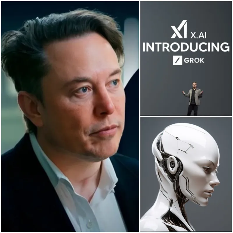 Elon Musk Launch New Chatbot in December, Directly Competing with ChatGPT