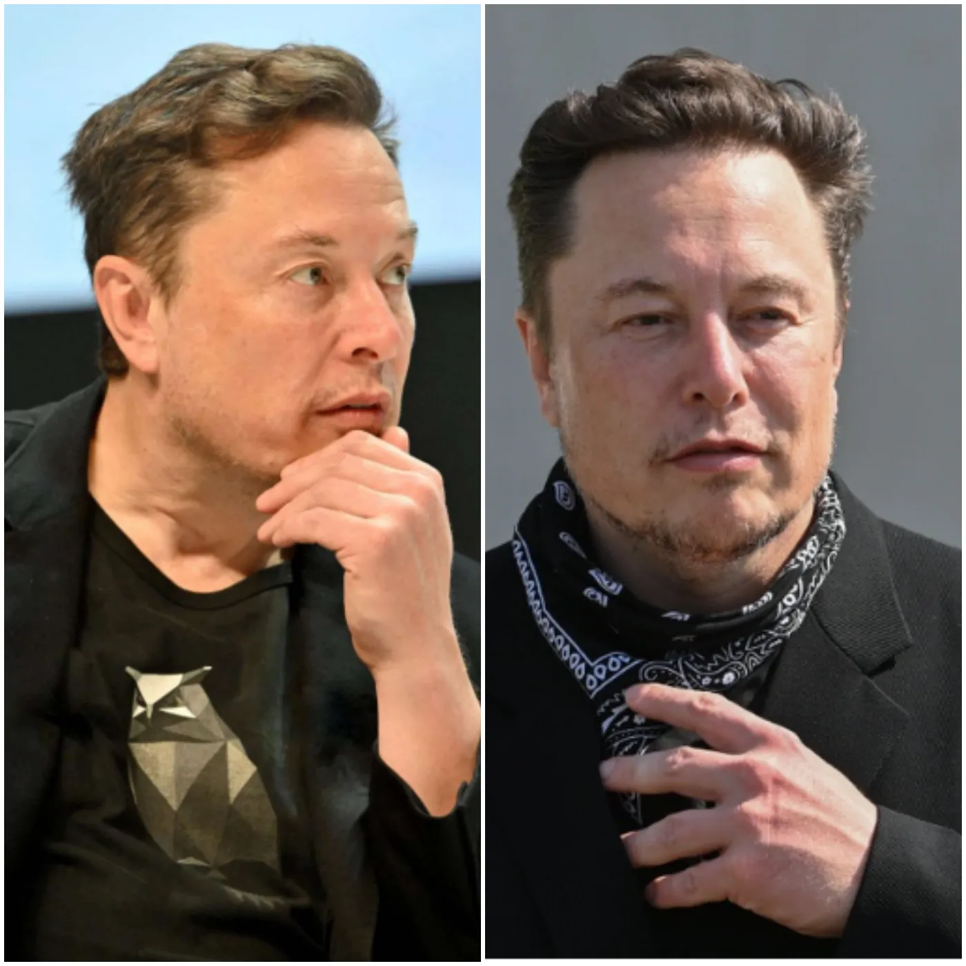 Elon Musk Creates Waves CEOs and Founders Competing to Join DOGE and Become the Next Big Tycoon!