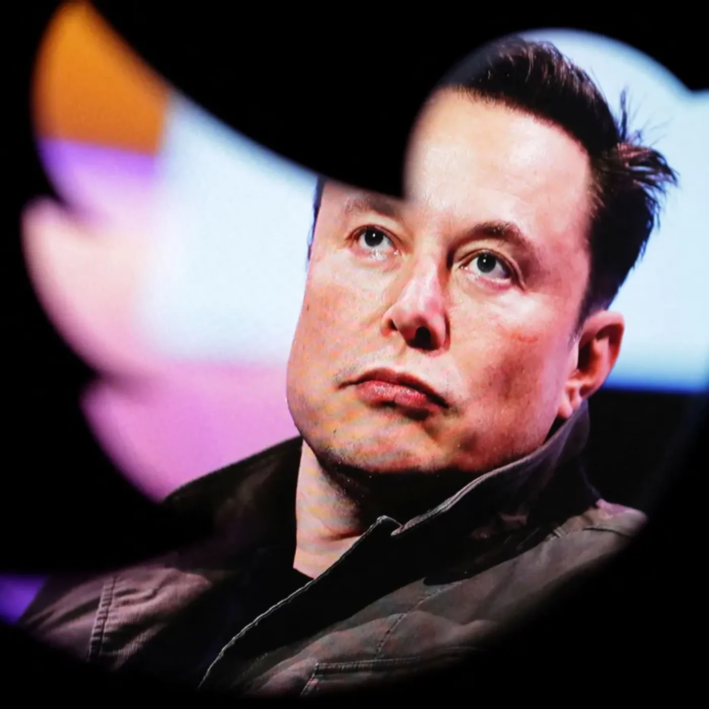 SHOCKING REVELATION DreamWorks Animation Suffers $1 Billion Loss After Elon Musk’s Boycott Call!