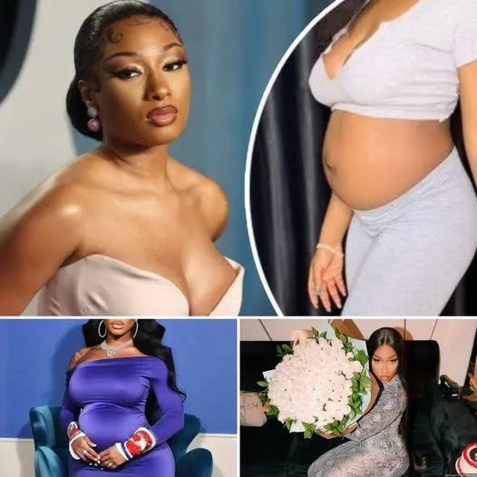 Megan Thee Stallion’s Shocking Pregnancy News