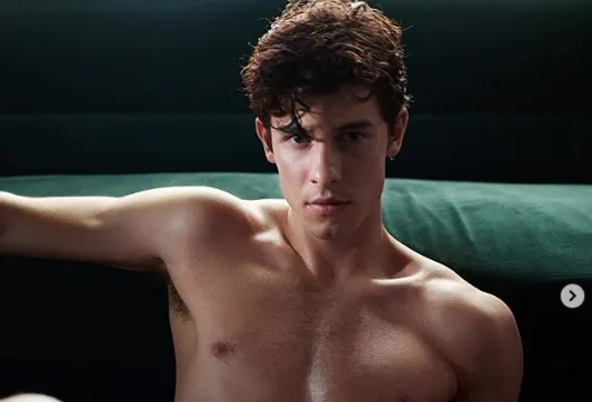 image_677745aa5560b Shawn Mendes will release the album REBORN, marking his official return to music, early in the new year.