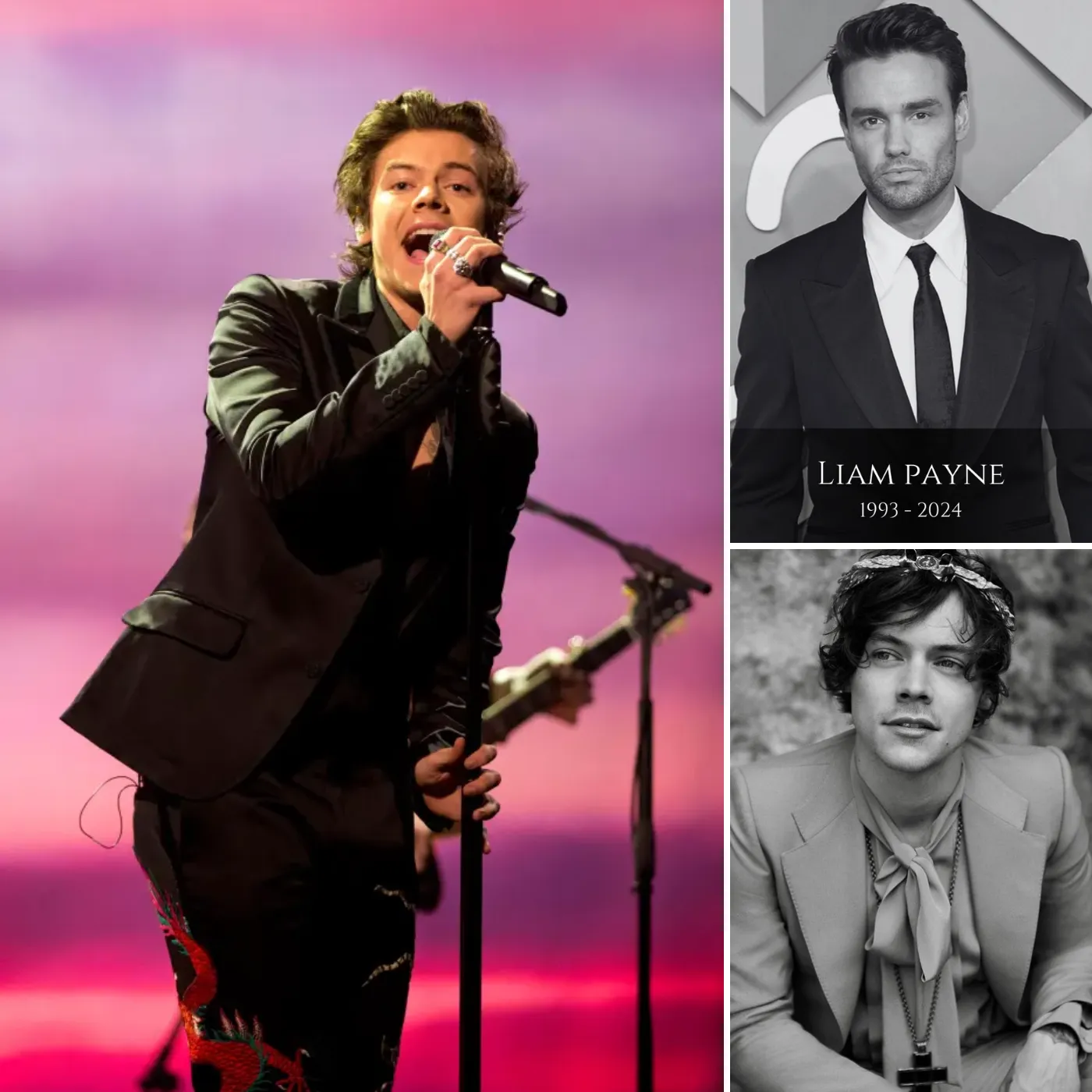 Harry Styles Reportedly Planning a Charity Album in Liam Payne’s Memory