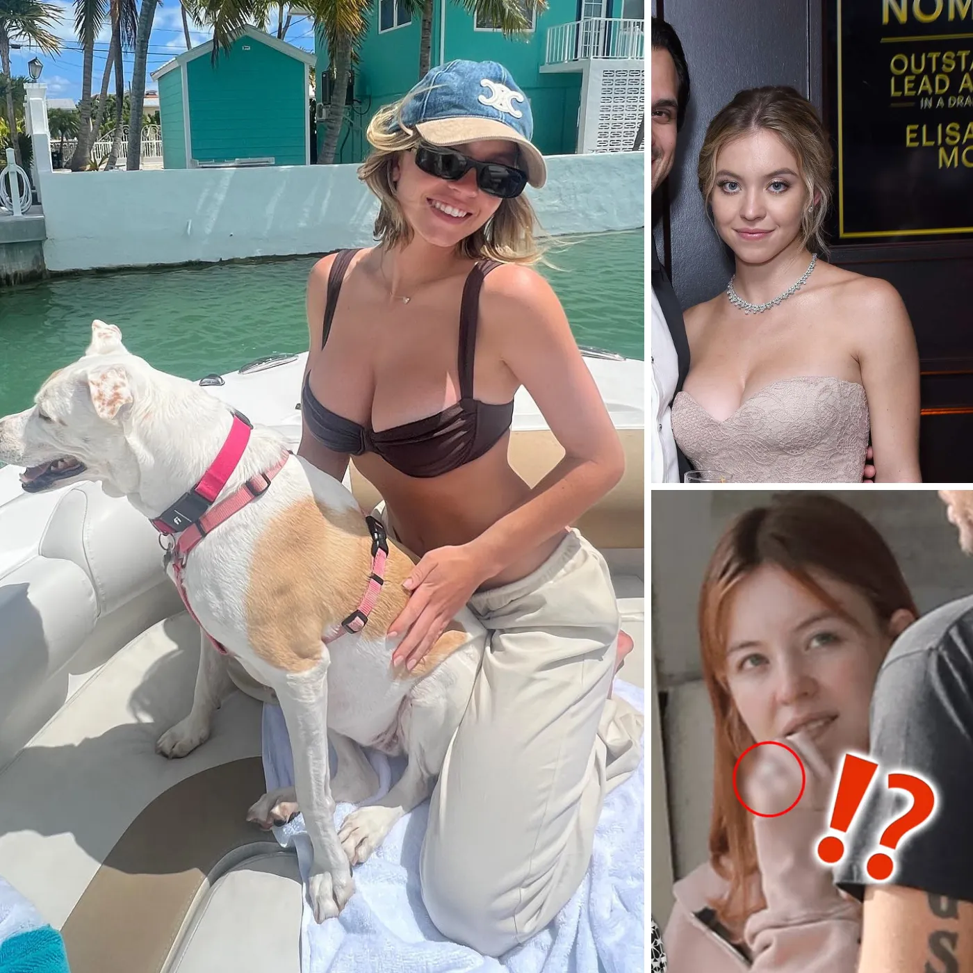 Sydney Sweeney's Fiancé: A Closer Look at the Man Behind Her 'Perfect' Image 1 Sydney Sweeney's Fiancé: A Closer Look at the Man Behind Her 'Perfect' Image