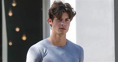 image_677973775dcf4 Hacker Who Sold Songs by Coldplay and Shawn Mendes Faces Justice