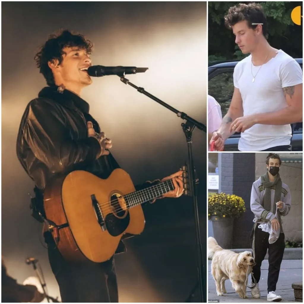 Despite Spending His Life Cultivating the Perfect Image, Shawn Mendes Loses His Real Life Image