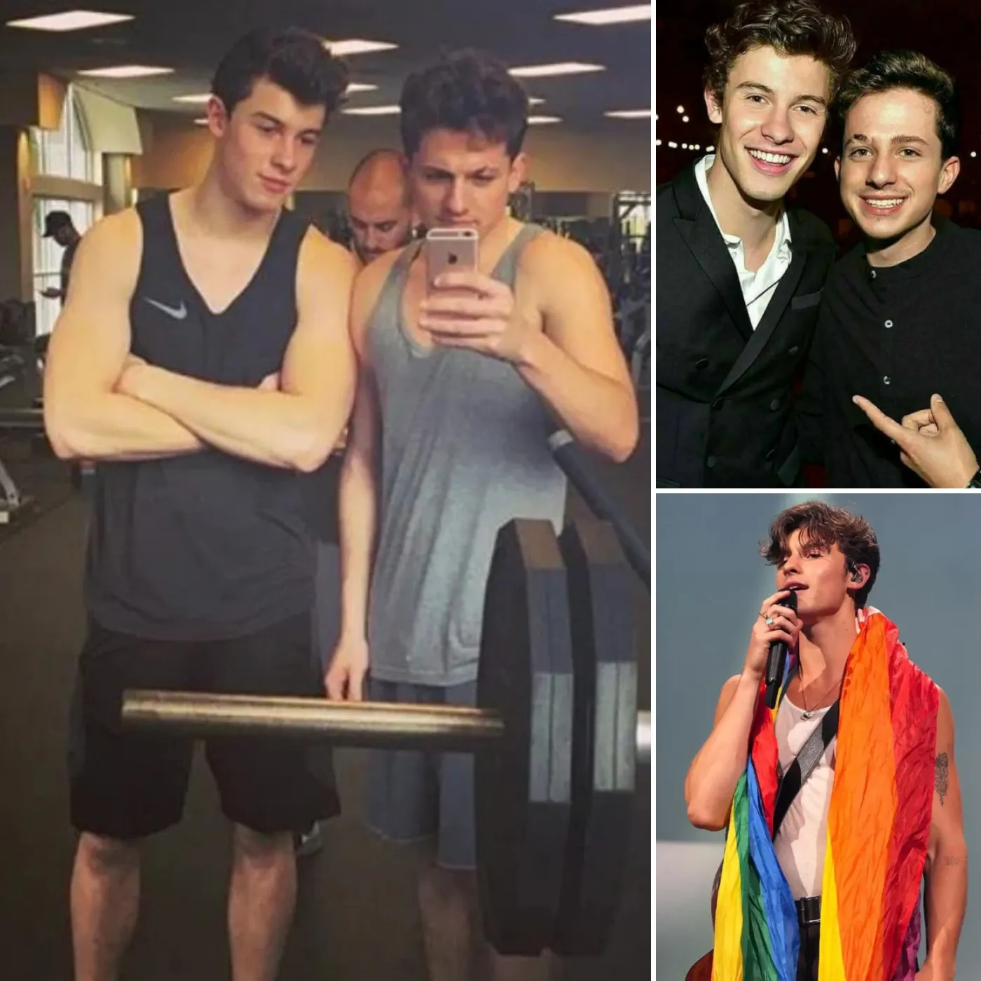 Are Charlie Puth and Shawn Mendes the New Icons for the Rainbow Revolution?