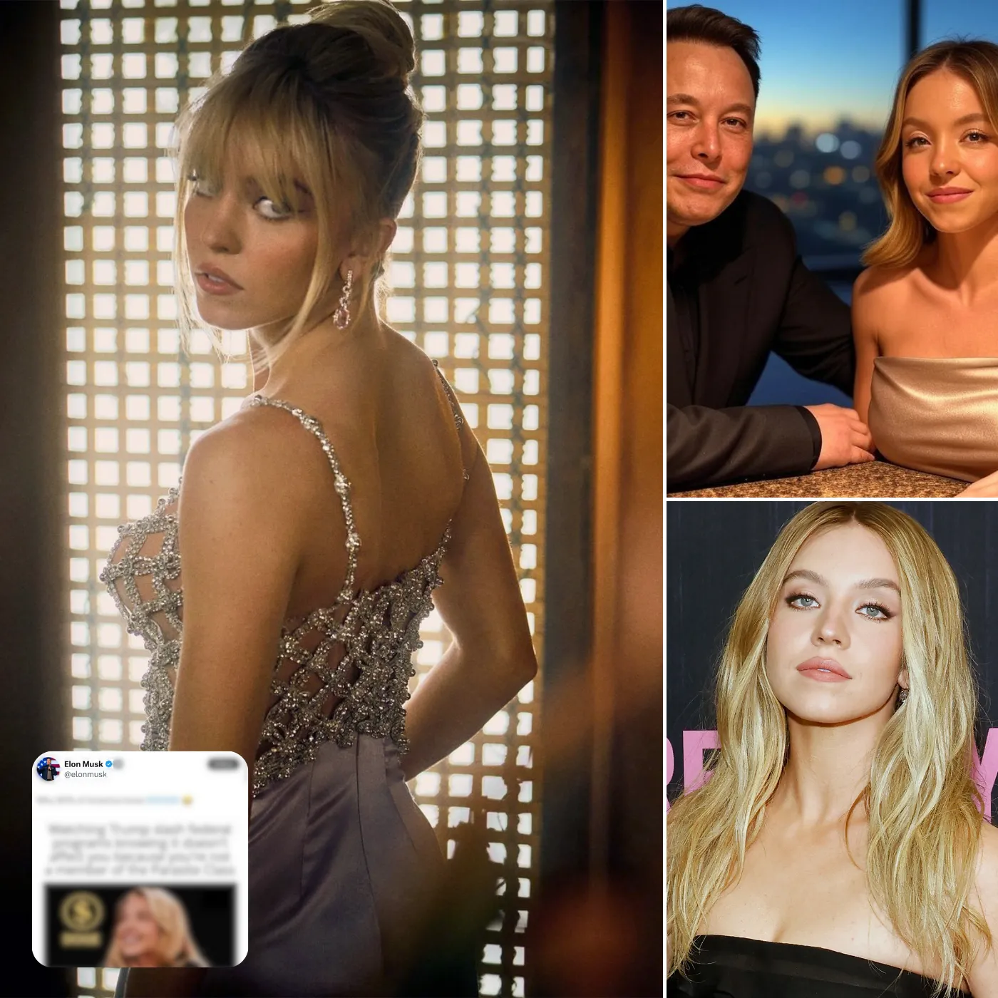 Internet Erupts as Elon Musk Meme of Sydney Sweeney Backfires Spectacularly