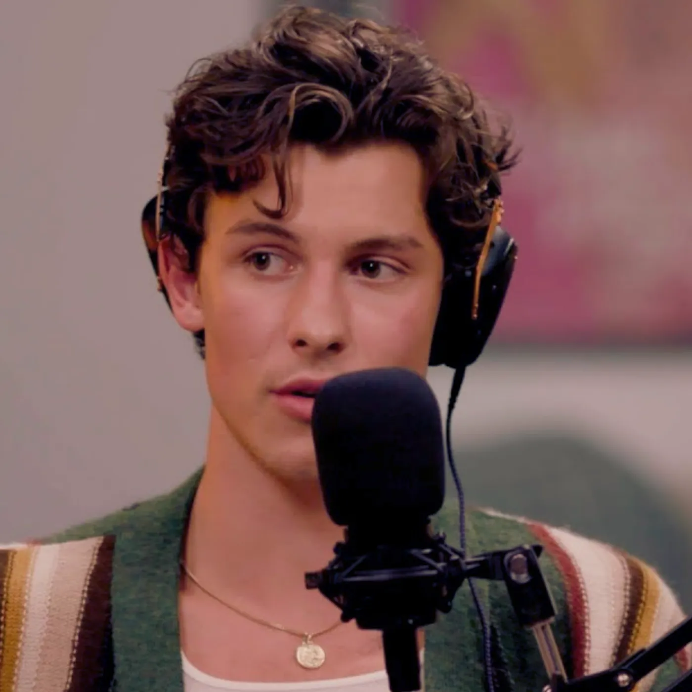 Fans Outraged After Learning What Shawn Mendes Has Been Hiding For Years