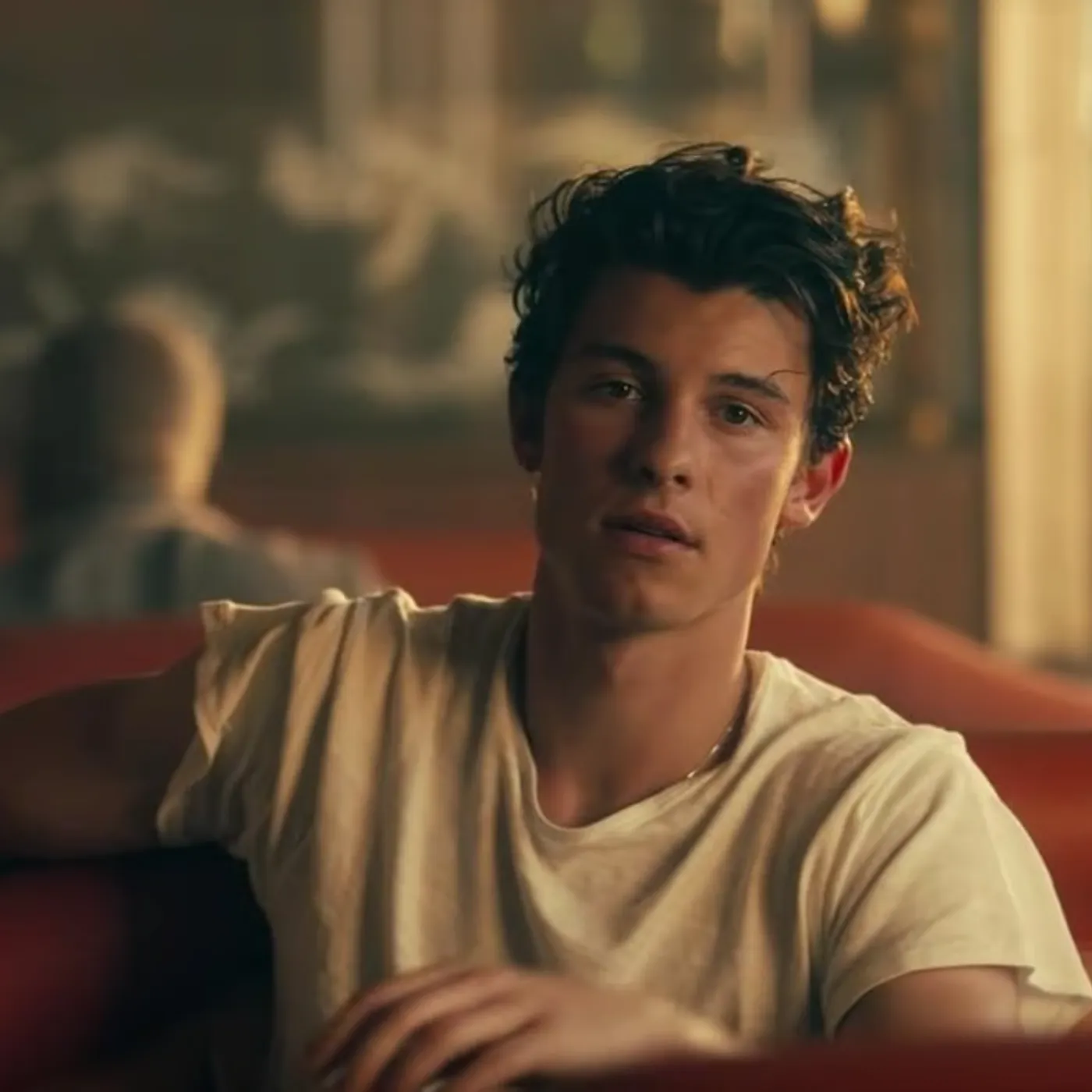 Shawn Mendes Exposes His True Self in a Viral Video and Here's What We Found