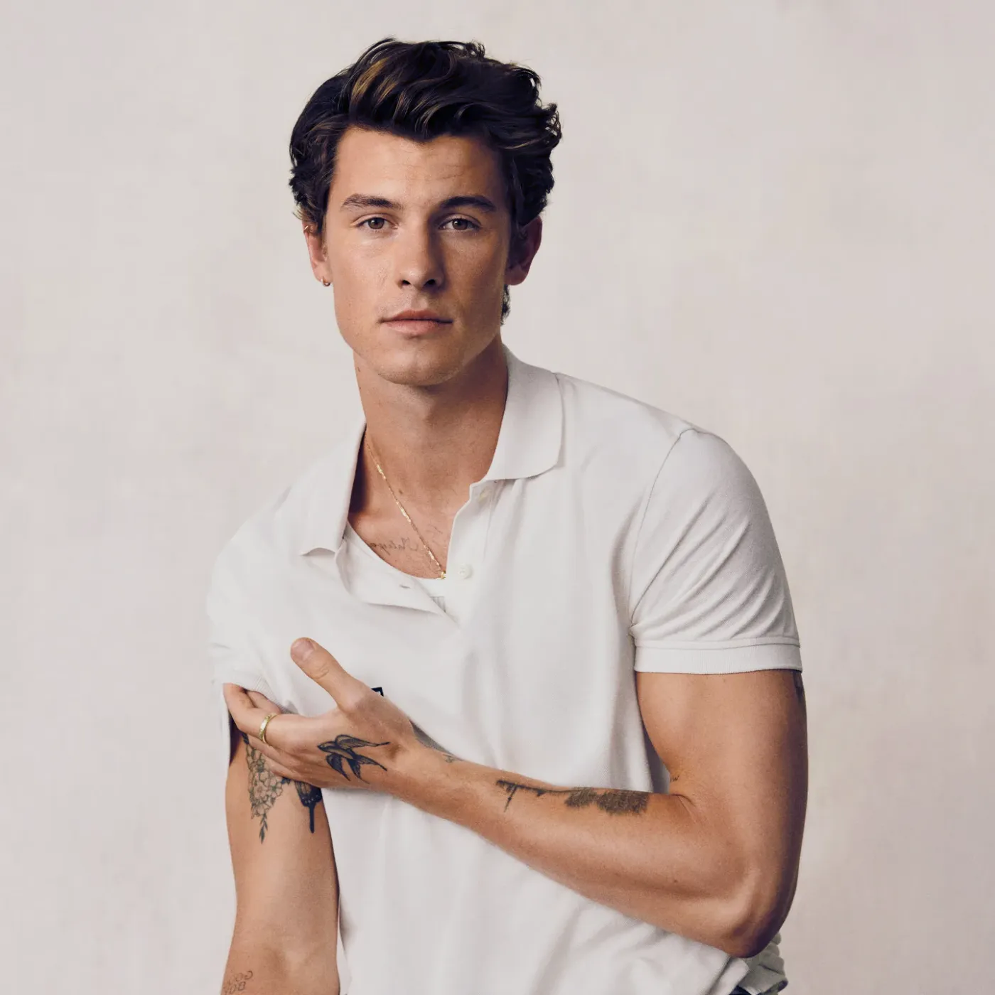 Shawn Mendes Exposes His True Self in a Viral Video and Here's What We Found