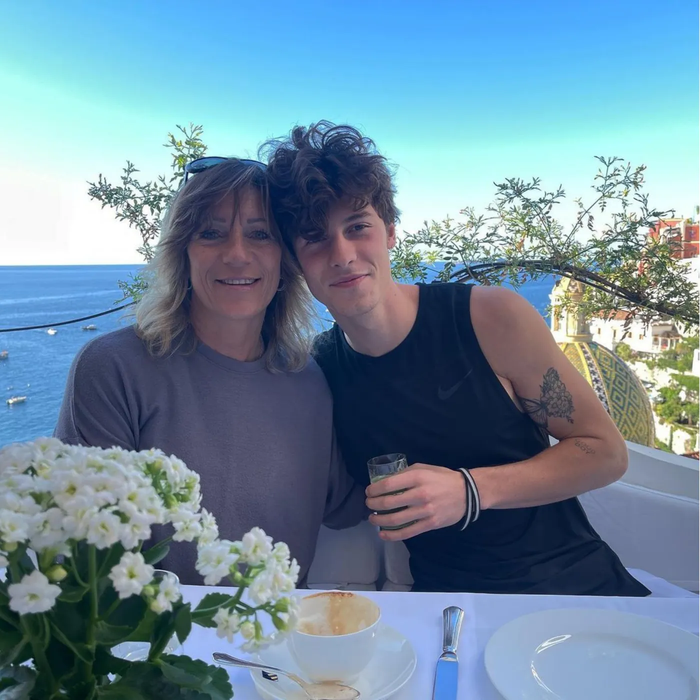 Shawn Mendes Battles Family Secrets That Threaten to Ruin His Reputation