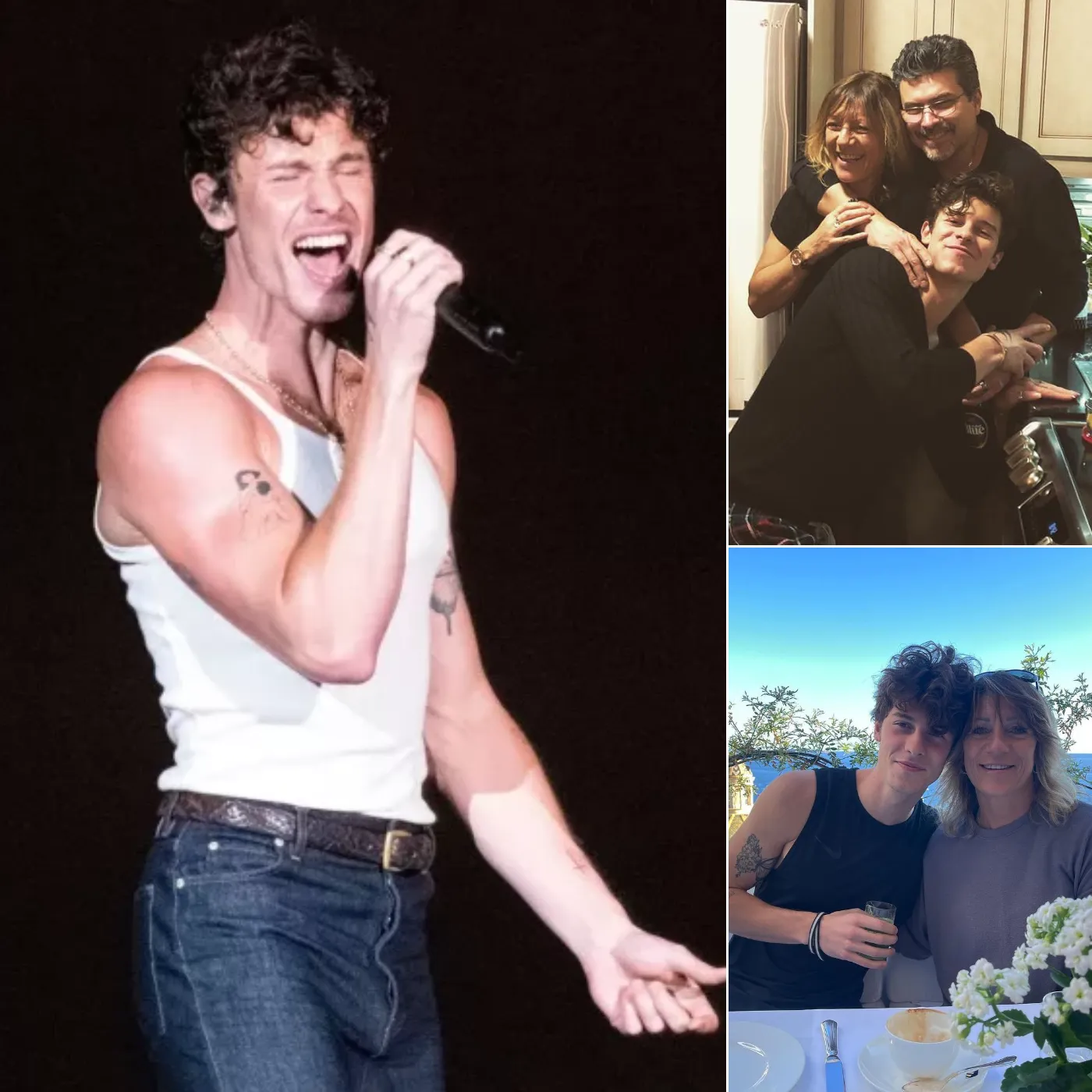 Shawn Mendes Battles Family Secrets That Threaten to Ruin His Reputation