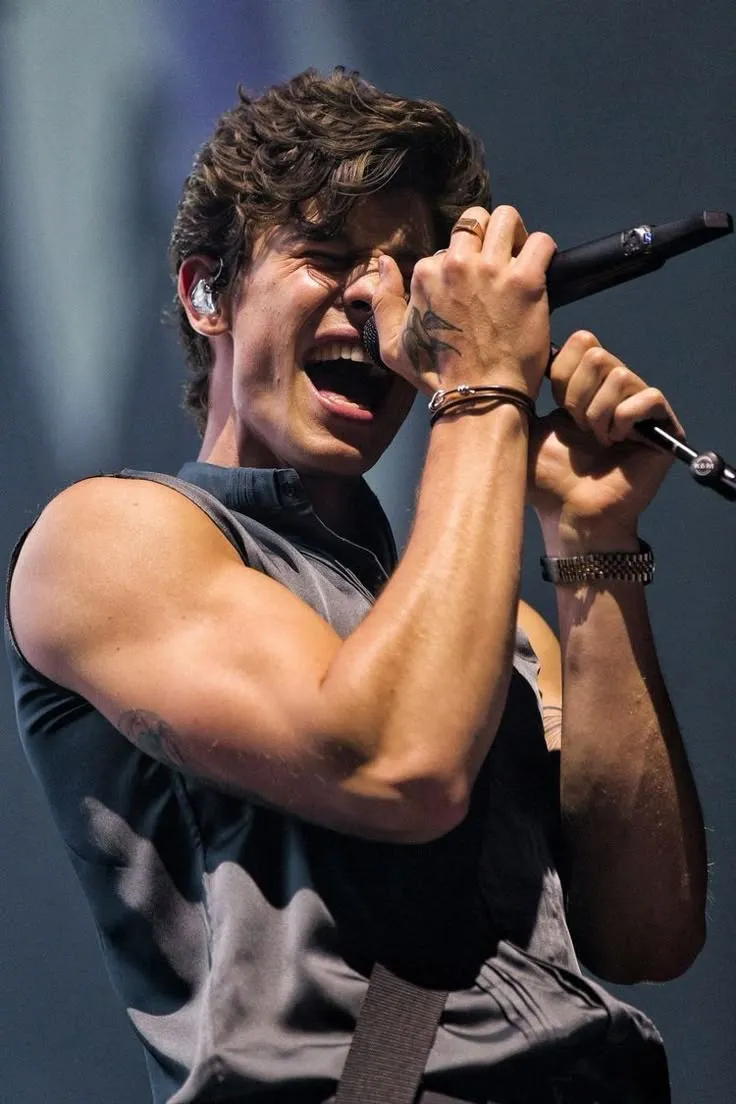 Shawn Mendes Canada’s Hottest Singer Leaves Fans in Awe