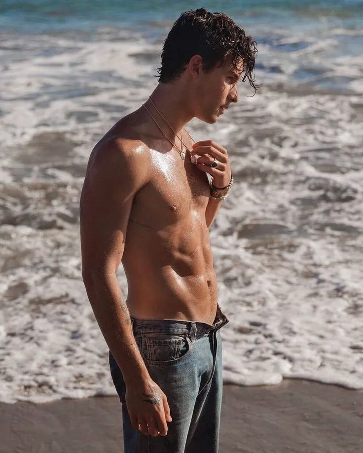 Shawn Mendes Canada’s Hottest Singer Leaves Fans in Awe