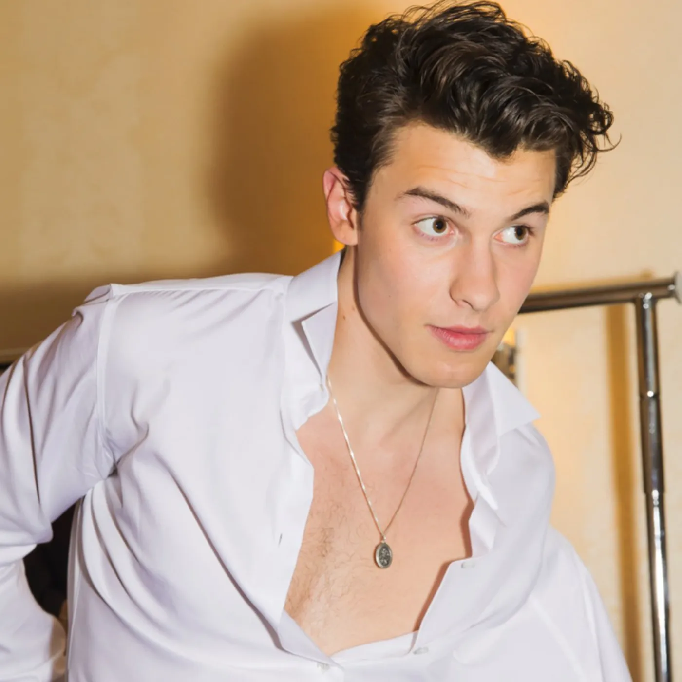 Shawn Mendes Sparks Chaos With Secret Boyfriend Song Ready to Drop