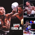 Lamont Roach can't even defeat the opponents that Gervonta Davis has annihilated. That's why this match is not worth it