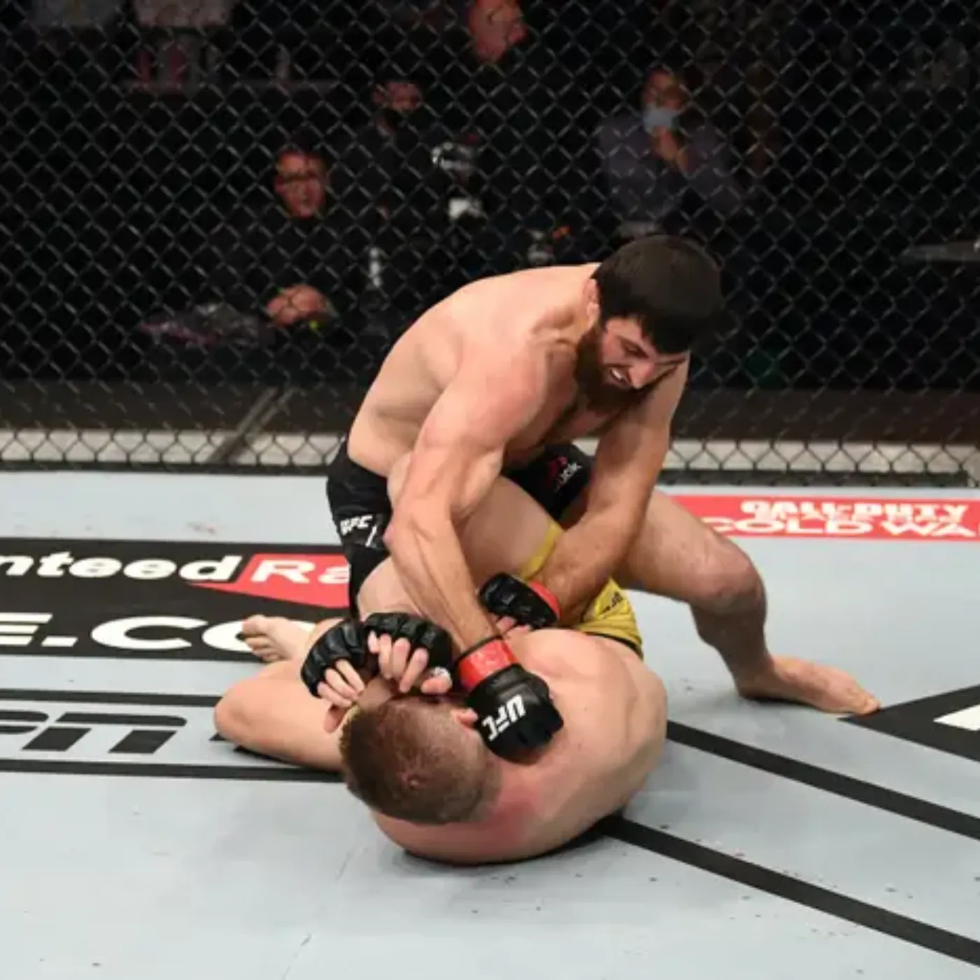 Alex Pereira’s Devastating Striking vs. Ankalaev’s Elite Grappling Who Will Emerge Victorious at UFC 313