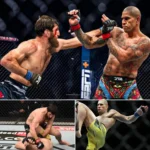 Alex Pereira’s Devastating Striking vs. Ankalaev’s Elite Grappling Who Will Emerge Victorious at UFC 313