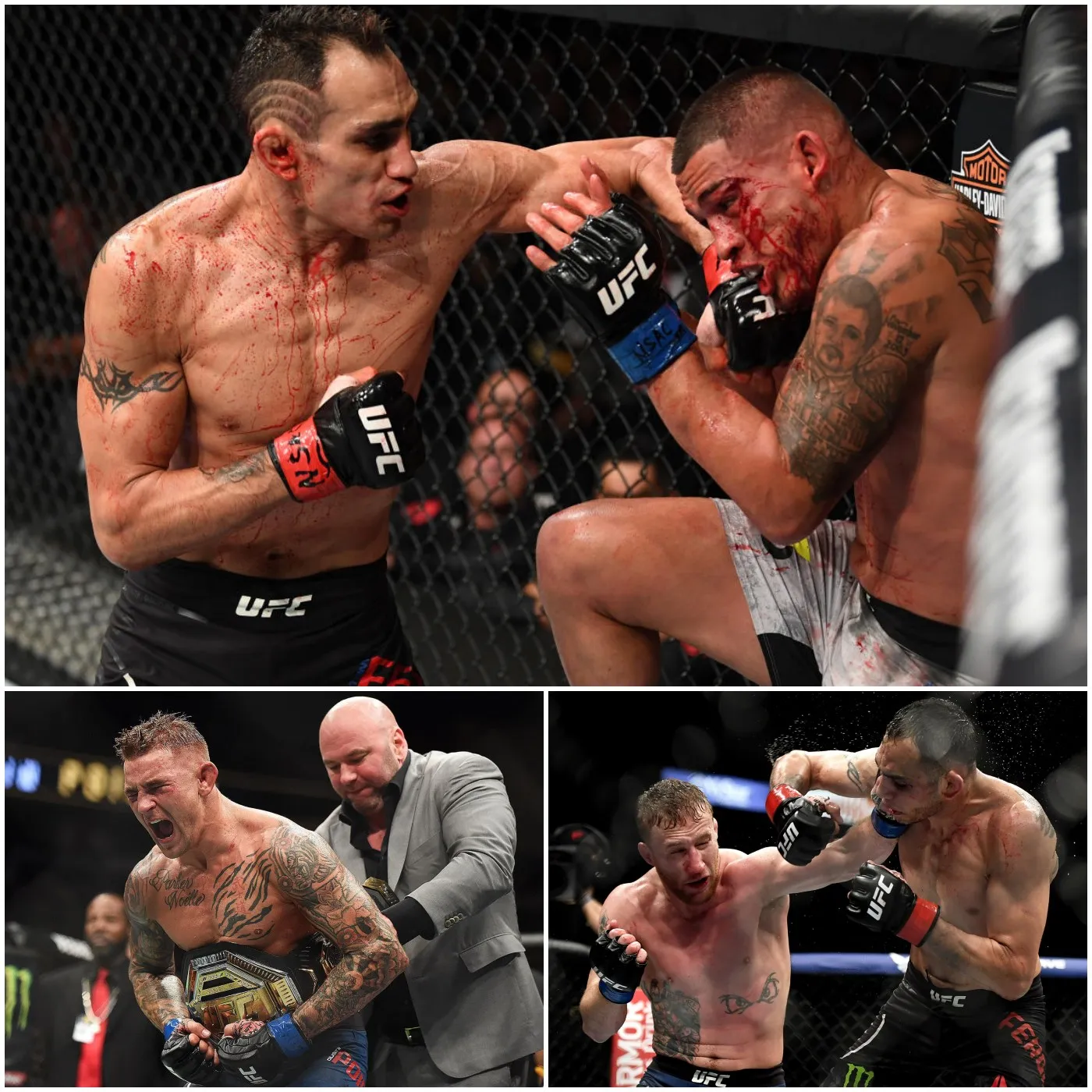 UFC Lightweight: where Interim Champions are "cursed" to never become undisputed kings