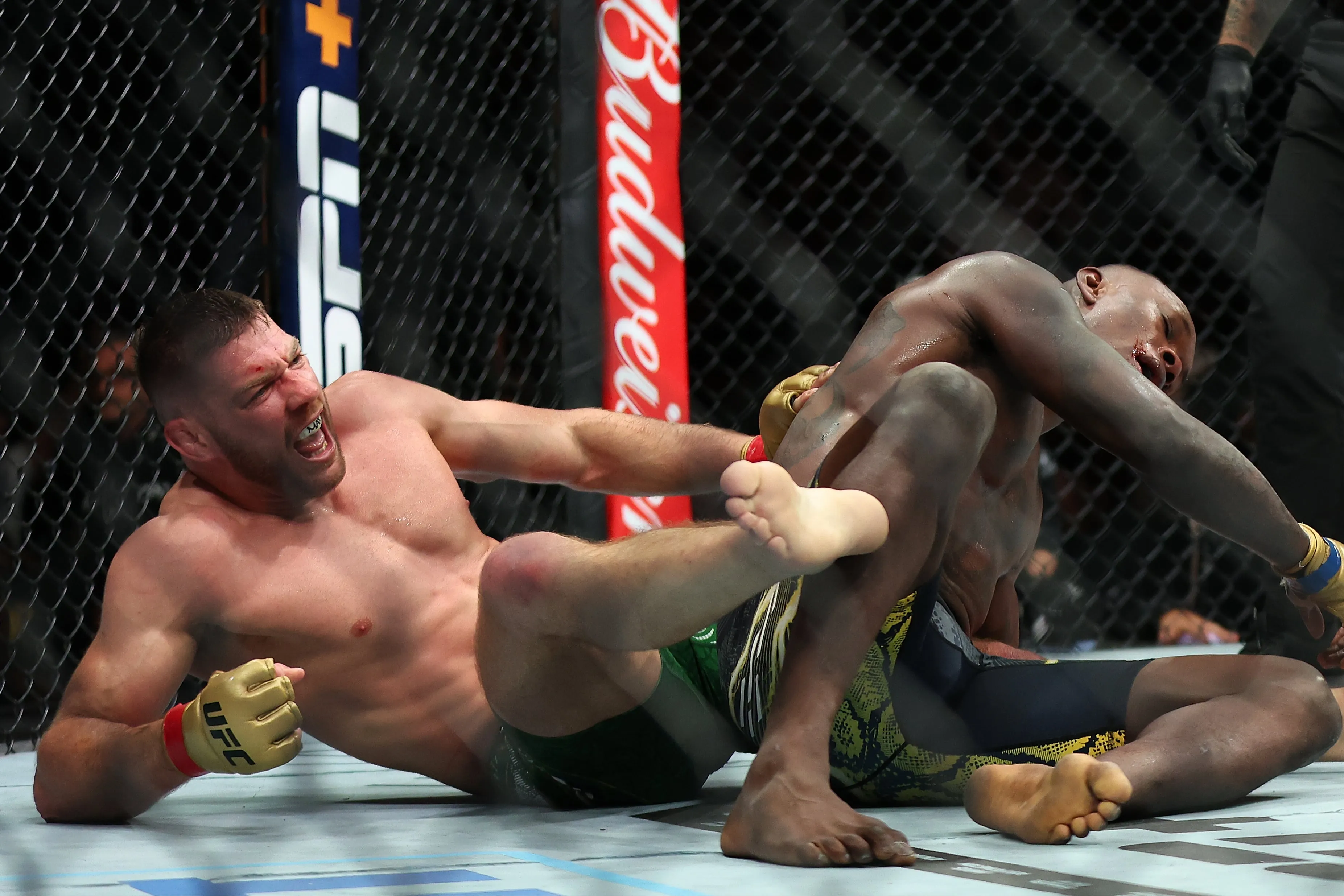 UFC 305: Dricus Du Plessis submits Israel Adesanya to retain title in  grudge match | The Independent