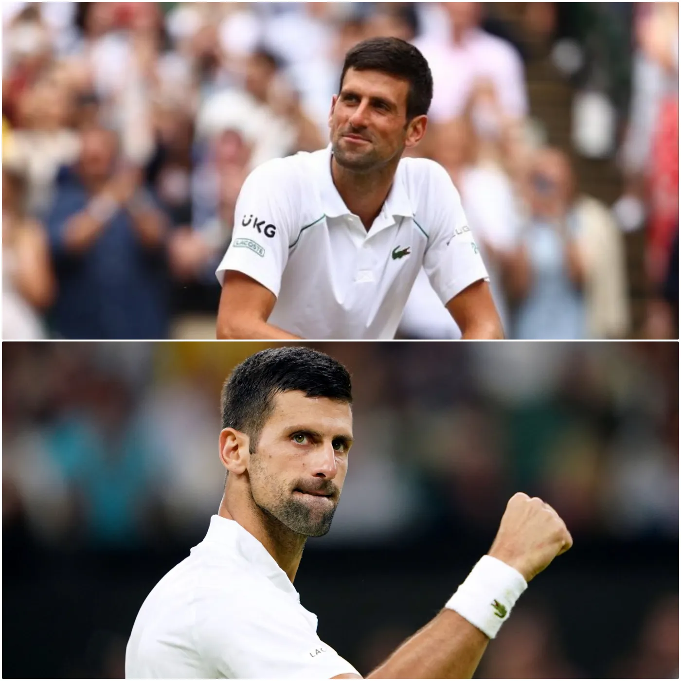 Marco Panichi Reveals Novak Djokovic’s Unique Nickname and Unyielding Champion’s Spirit