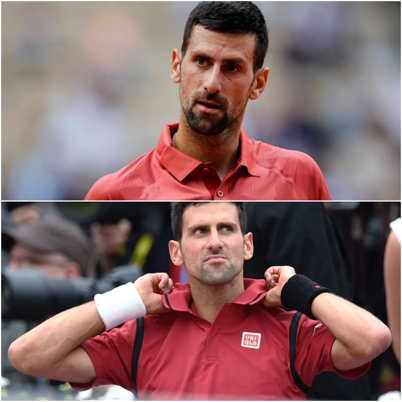 Marco Panichi Reveals Novak Djokovic’s Unique Nickname and Unyielding Champion’s Spirit