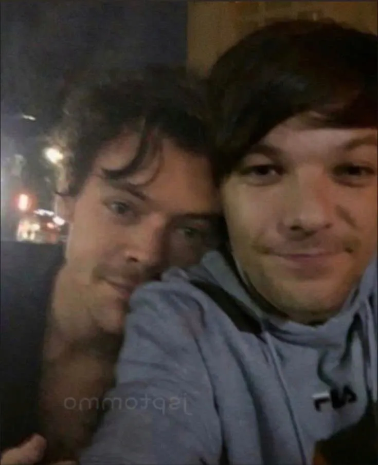 Harry Styles and Louis Tomlinson—A Friendship Full of Secrets?