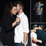 Throwback: When Harry Styles and Liam Payne’s Hug Stole the Show!