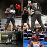 Francis Ngannou’s Training Video Leaves Fighters Shaking, Who Can Stop Him