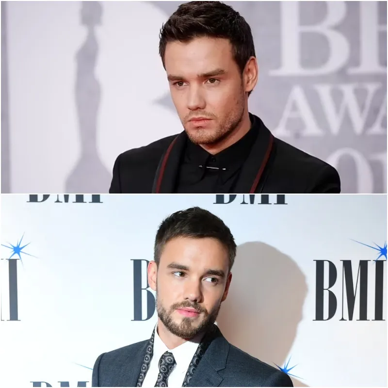 Grammys 2025 Tribute Leaves Fans in Tears Over Liam Payne!