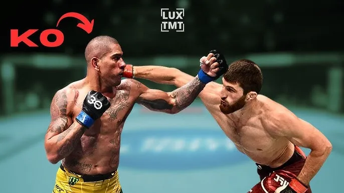 Magomed Ankalaev’s True Game Plan Exposed—Why He’ll Desperately Shoot for Alex’s Legs