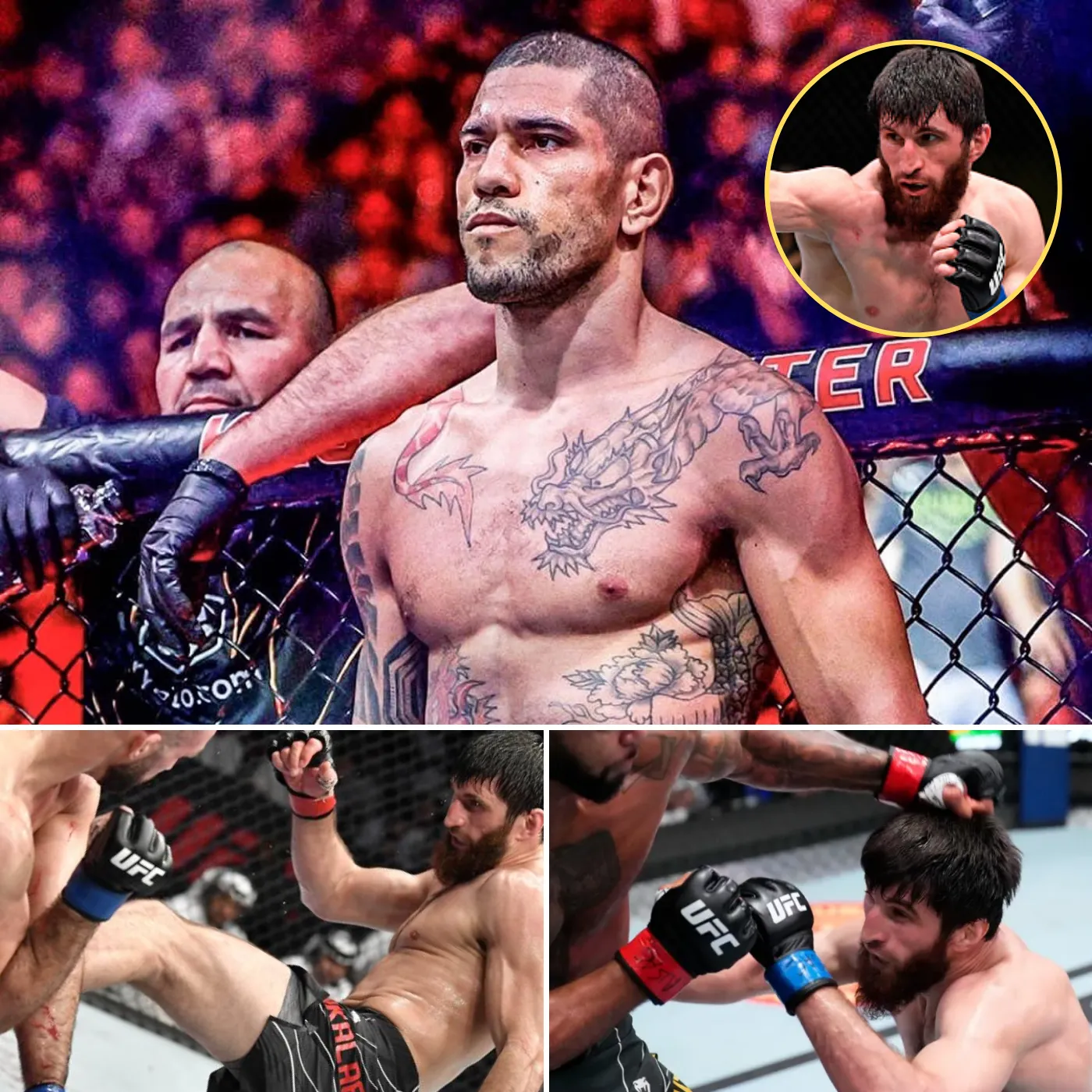 Magomed Ankalaev’s True Game Plan Exposed—Why He’ll Desperately Shoot for Alex’s Legs