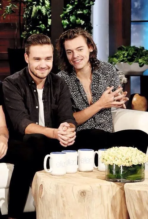 image_67c6bf26633bc Harry Styles and Liam Payne’s Emotional Moments—A Bromance for the Ages!