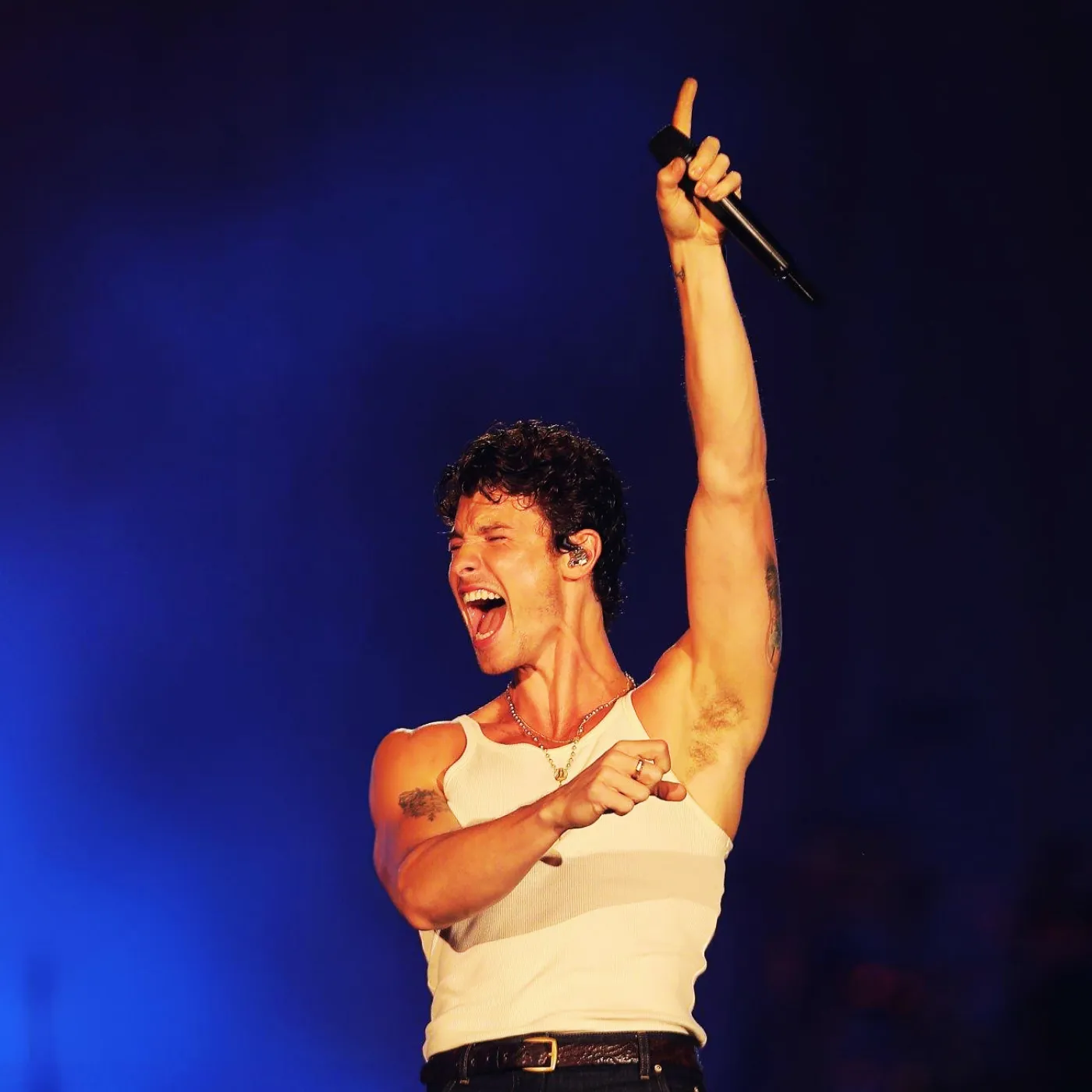 image_67c80016dd658 Shawn Mendes' Mysterious Romance and Emotional Piano Lessons Exposed