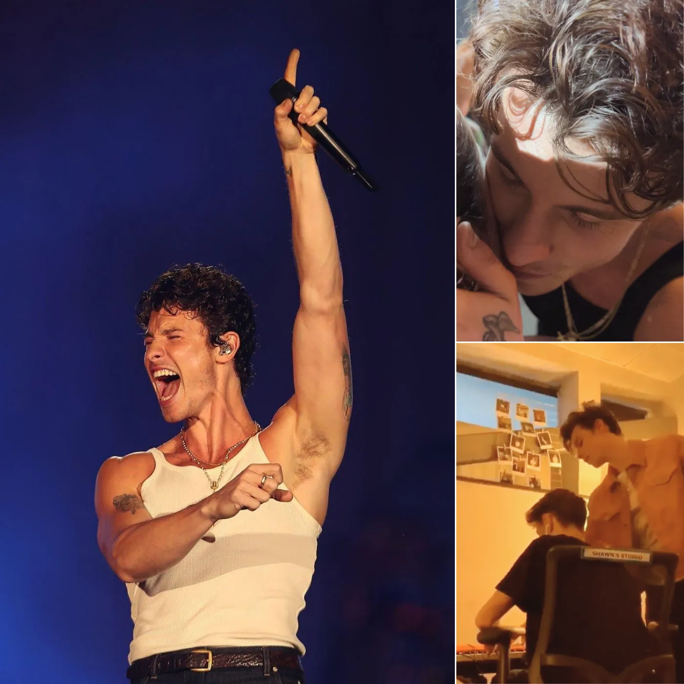 Shawn Mendes' Mysterious Romance and Emotional Piano Lessons Exposed 19 Shawn Mendes' Mysterious Romance and Emotional Piano Lessons Exposed