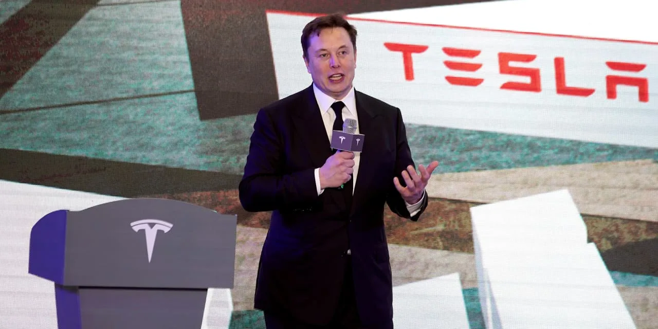 image_67cbd1cf9b427 Tesla Collapses in Europe: Sales Plunge 45% in January 2025, Stock Drops 23%, Is Elon Musk Leading the Company to the Abyss Due to Poor Management?