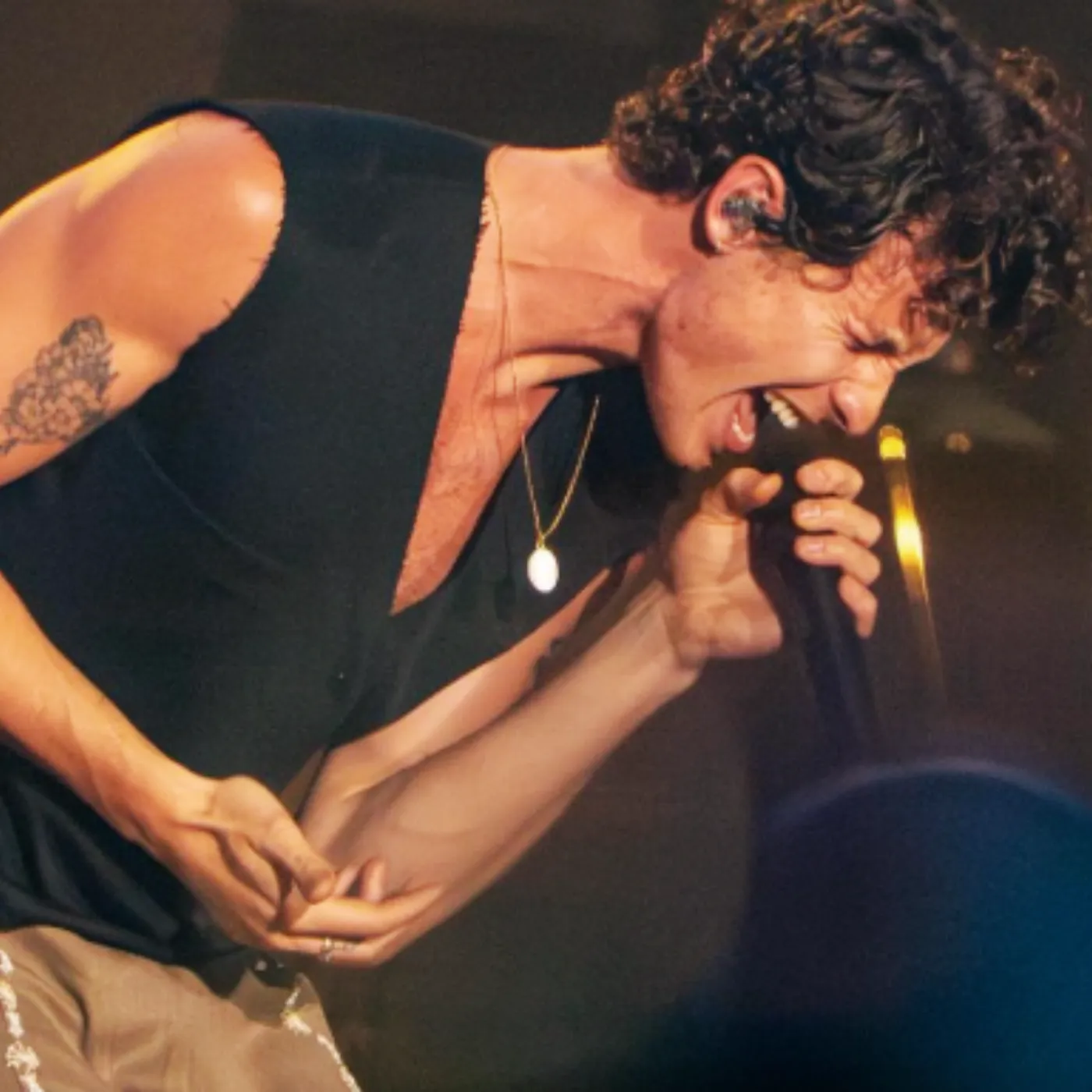 image_67cdb879e90d0 Shawn Mendes Rips His Shirt Off on Stage and Breaks the Internet