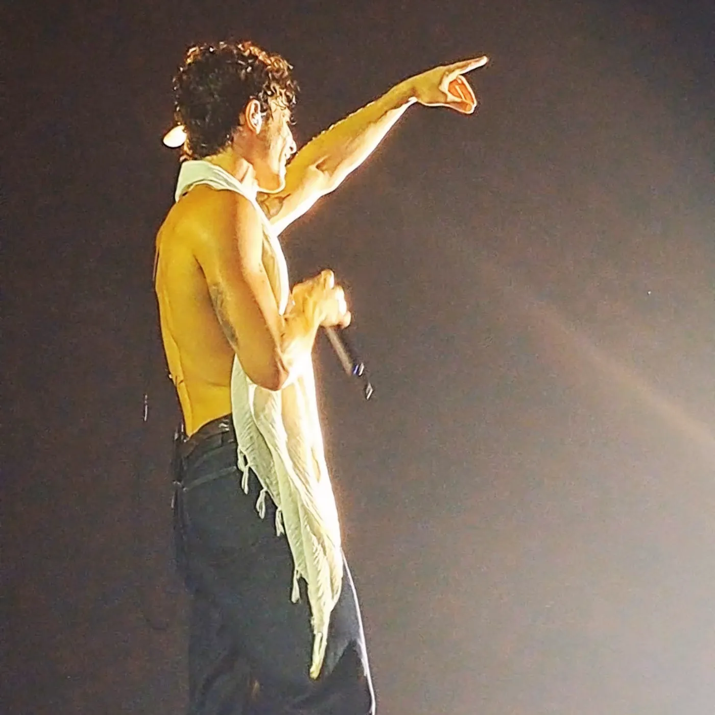 Shawn Mendes Rips His Shirt Off on Stage and Breaks the Internet