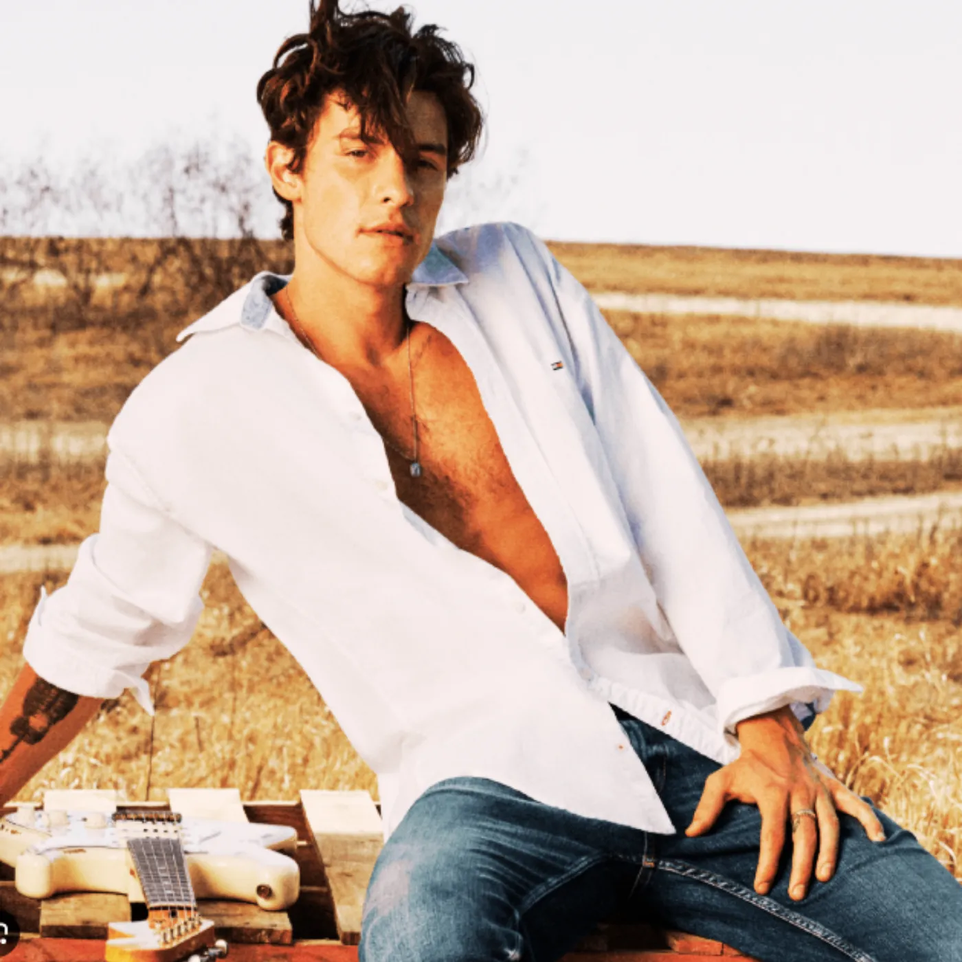 image_67ceac756c905 Mysterious New Beau Revealed As Shawn Mendes Shocks Fans in Mumbai