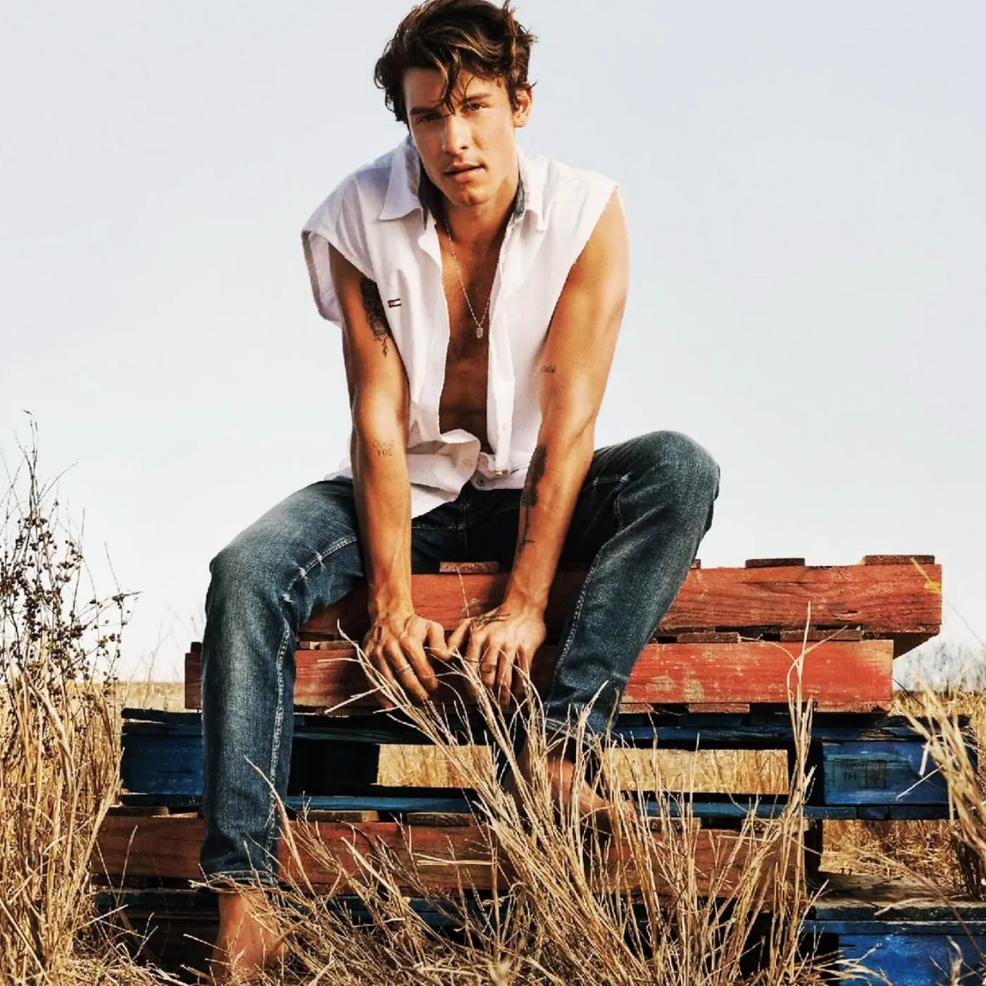 image_67ceac7647e42 Mysterious New Beau Revealed As Shawn Mendes Shocks Fans in Mumbai