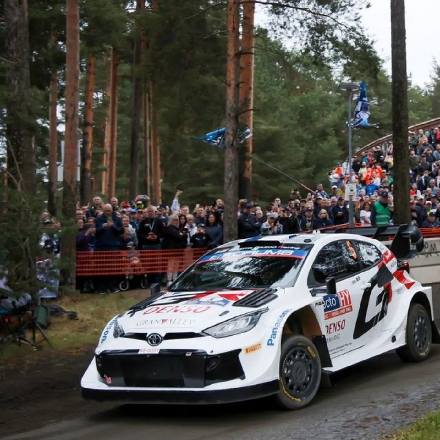 Brilliance or Burden? How Pajari’s Rally Finland Performance Raised Expectations