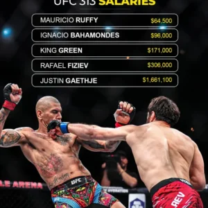 UFC 313 Bonus Disparity: Pereira is the loser but the real winner?