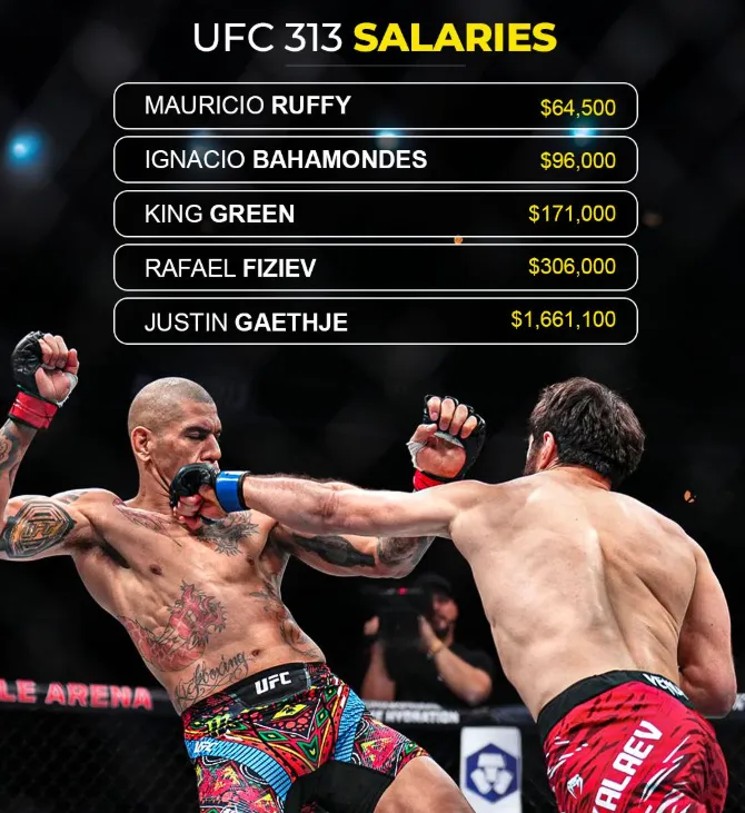 UFC 313 Bonus Disparity: Pereira is the loser but the real winner?