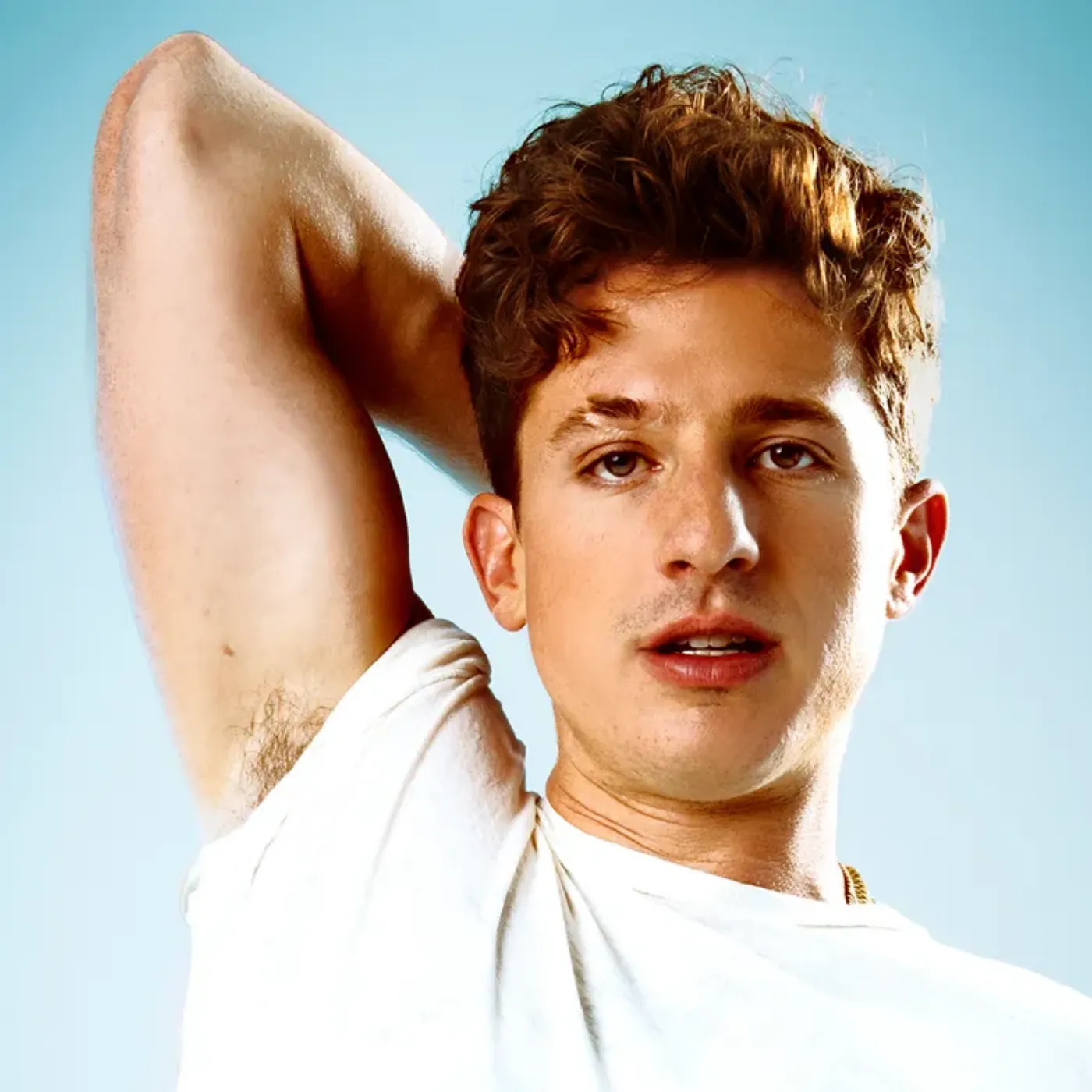 image_67d105e910bb2 Breaking Silence: Charlie Puth Opens Up About His Authentic Identity and Inspires Millions