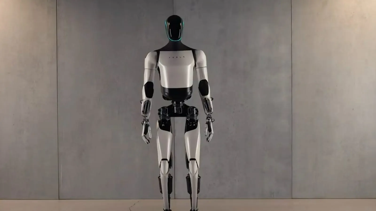 Elon Musk's humanoid robot Optimus can do squats and boil eggs | Company  Business News