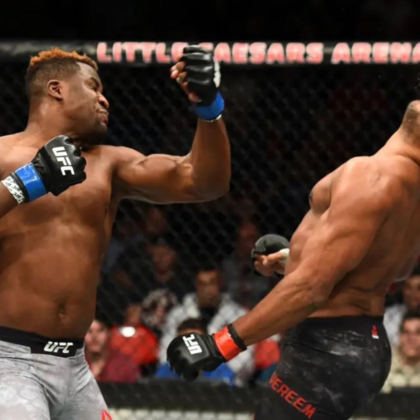 image_67d2891a97ca9 Wilder’s $100M Demand for Ngannou Fight, The Hidden Truth Behind the Shocking Delay