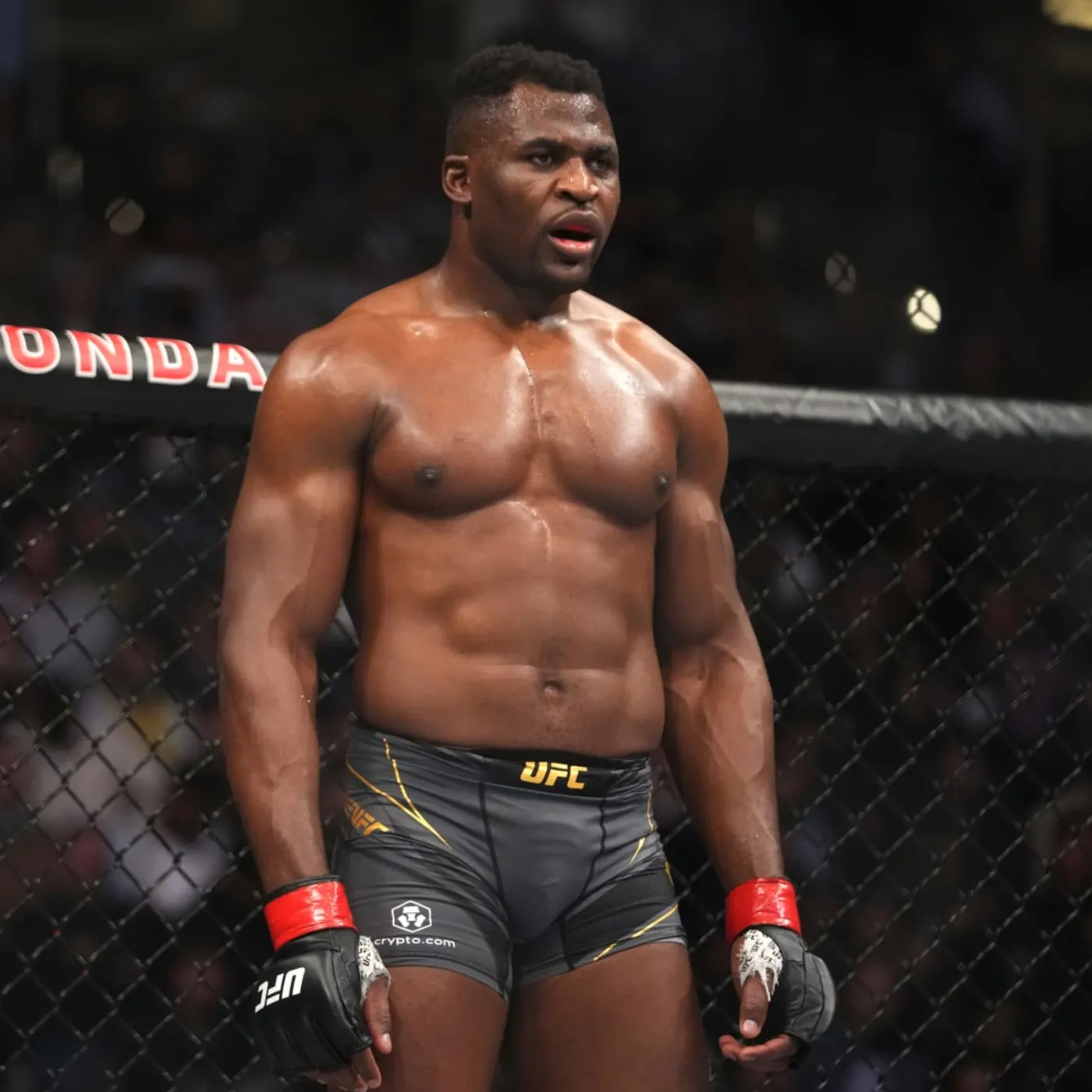 Wilder’s $100M Demand for Ngannou Fight, The Hidden Truth Behind the Shocking Delay 19 Wilder’s $100M Demand for Ngannou Fight, The Hidden Truth Behind the Shocking Delay