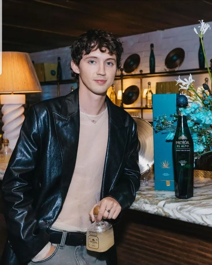 image_67d3a5c7d945c Troye Sivan's Candid Confession: 'Shawn Mendes Is My Ideal'