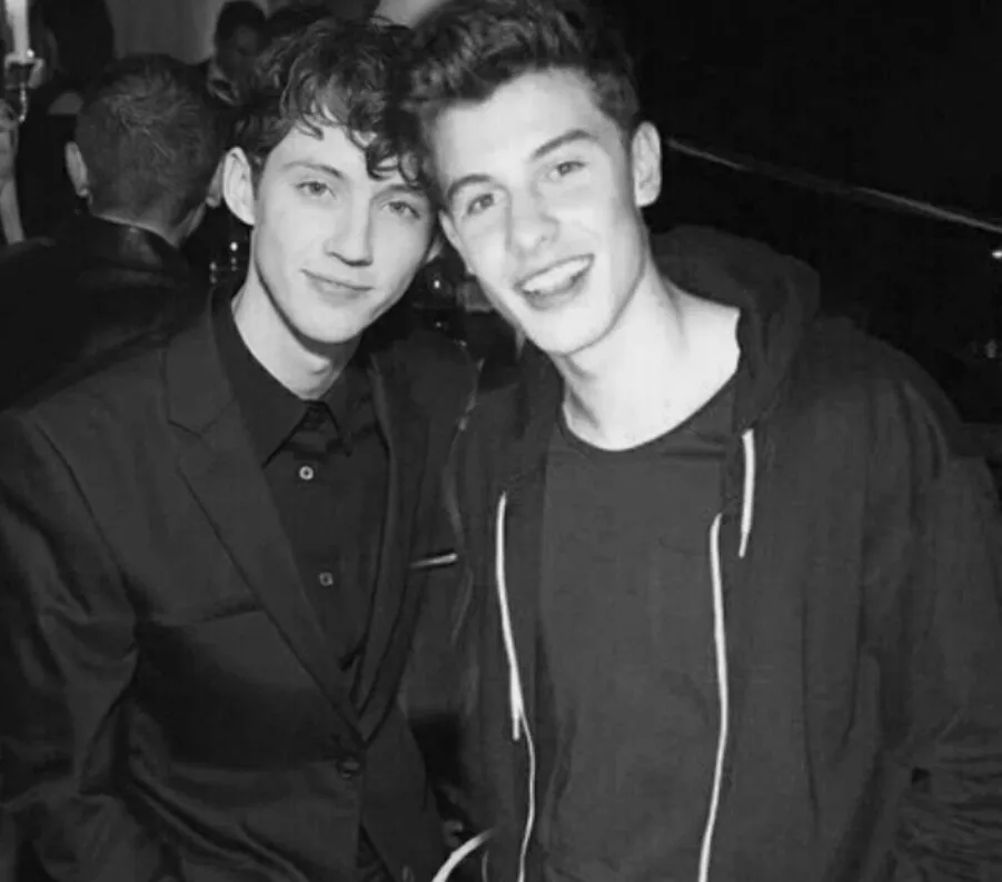 Troye Sivan's Candid Confession: 'Shawn Mendes Is My Ideal'