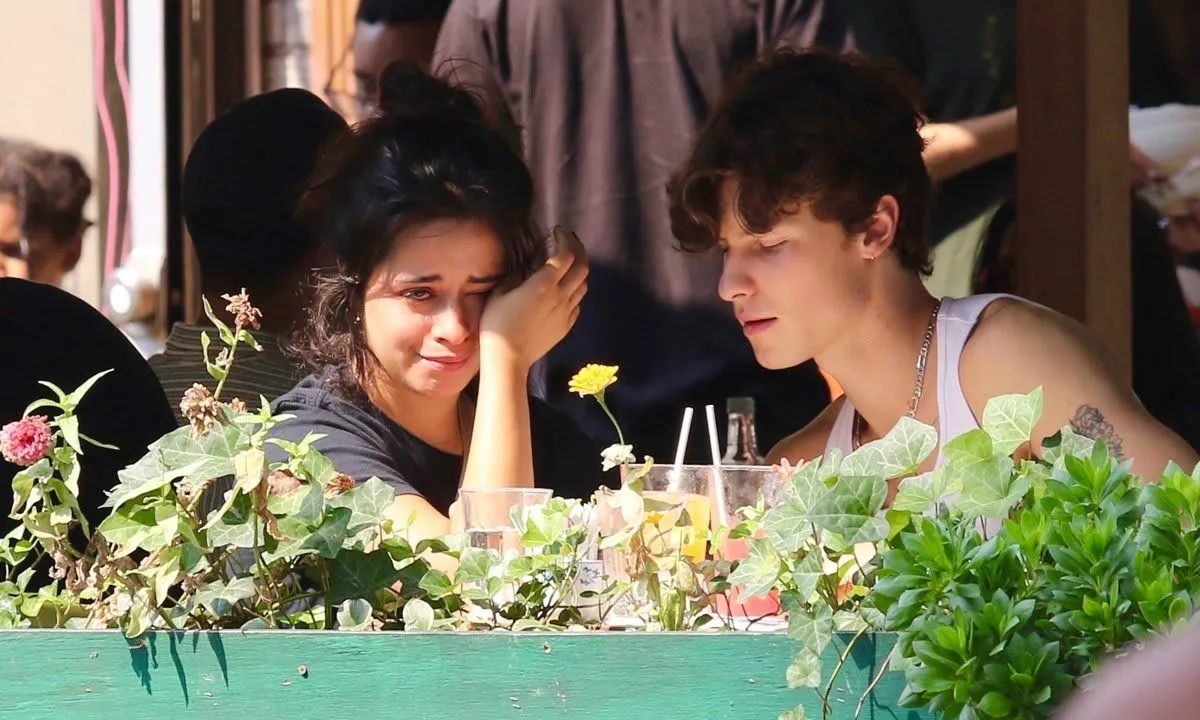 image_67d3e54bb3111 Camila Cabello officially opens up about her breakup with Shawn Mendes for the first time: The real reason made them split